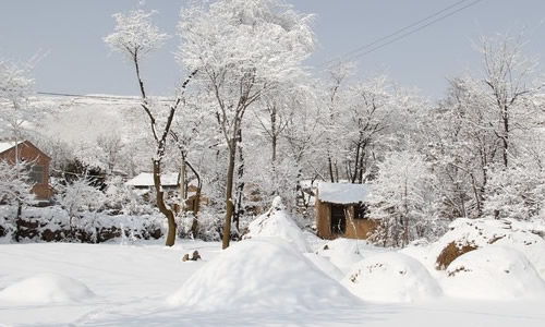 關(guān)于描寫(xiě)雪花的古詩(shī),描寫(xiě)冬天雪花的古詩(shī),描寫(xiě)雪花的古詩(shī)四年級(jí)