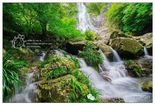 古詩詞有如桃花源詩句