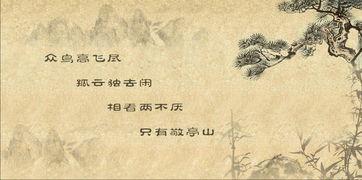 關(guān)于孤鳥的詩(shī)句古詩(shī)