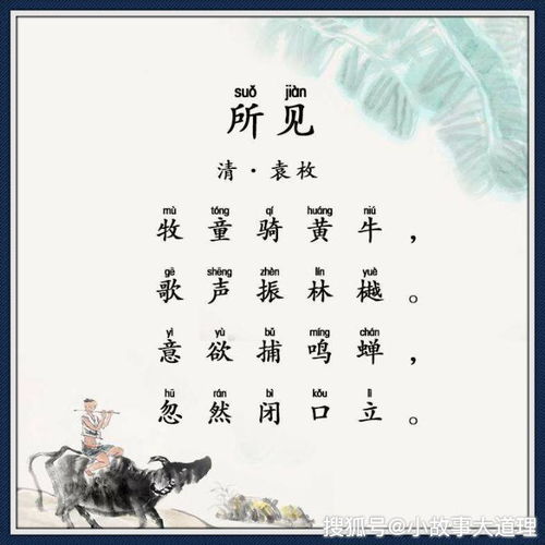 有關(guān)清代經(jīng)典詩句古詩詞網(wǎng)