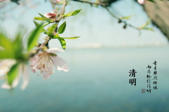寫草原有關(guān)的詩句古詩詞