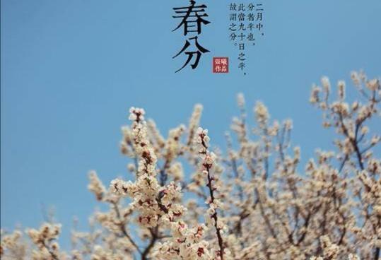 有天字的詩句古詩大全