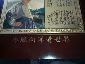 關(guān)于冷眼看世界的詩句