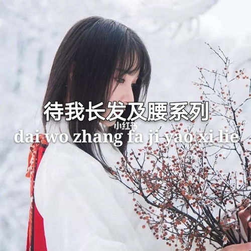 有關(guān)于長發(fā)的詩句