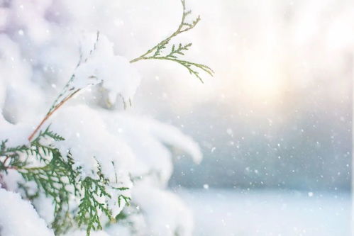 關(guān)于雪的詩句不帶雪字