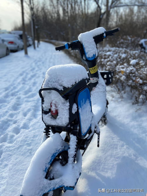 詩句,于雪