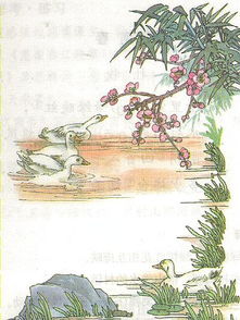 古詩,詩句,暴雨,春天