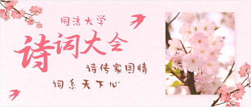 關(guān)于柚子的詩句文章及歌曲