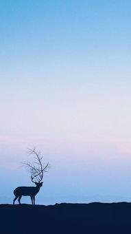 對(duì)心上人表白的古詩(shī),想念心上人的古詩(shī),寫(xiě)給心上人的古詩(shī)