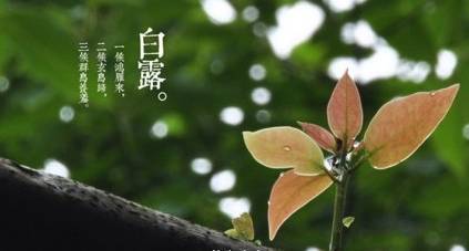 有關(guān)白露節(jié)氣唯美詩(shī)句,與白露節(jié)氣有關(guān)的詩(shī)句,描寫節(jié)氣白露的詩(shī)句