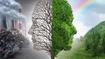 形容新生事物蓬勃發(fā)展的詩句,表示新興事物蓬勃發(fā)展的詩句,形容事物蓬勃發(fā)展詩句