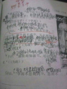 詩(shī)句,讀書,精彩
