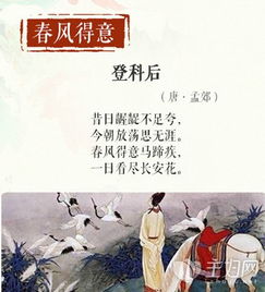 中國(guó)古詩(shī)含有成語(yǔ)的詩(shī)句大全