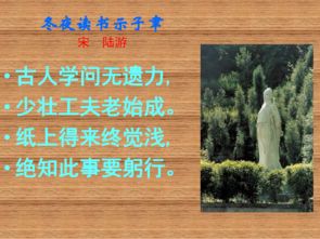 詩(shī)句,有感,讀書