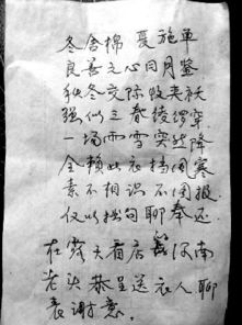 贊美長壽老人的詩句,描寫烏龜長壽的詩句,祝老人壽辰的詩句