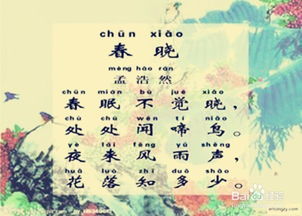 小學學過的描寫祖國詩句的古詩