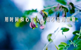 詩(shī)句,簡(jiǎn)短,勵(lì)志,陽(yáng)光