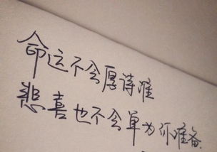 關(guān)于堅(jiān)持到底的古詩(shī)句