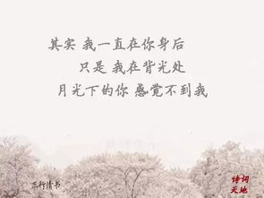 關(guān)于相逢相遇的詩句