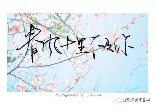 關(guān)于桃花的詩句多的子