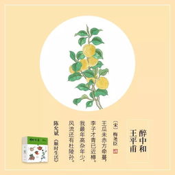 關于東西多的詩句
