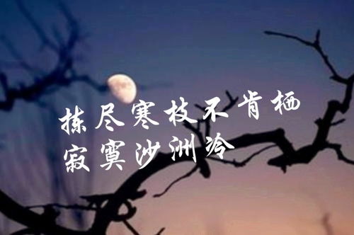 關(guān)于孤獨(dú)寂寞的古詩(shī)句