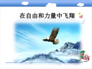 形容鳥飛翔的詩句古詩,關于飛翔的詩句古詩,形容冬天的詩句古詩