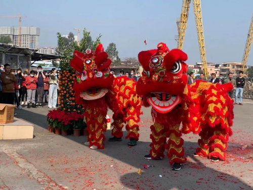 關于舞獅的古詩句