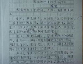 運用詩句寫景的作文,寫景的作文引用詩句,含有詩句的寫景作文