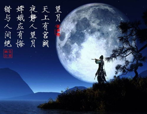 賞月思念愛人的詩句,思念愛人的詩句古詩,表示思念愛人的詩句