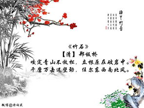 關(guān)于菊詩句古詩詞