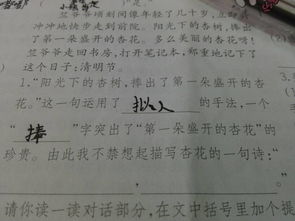 關(guān)于杏花的古詩句小學(xué)