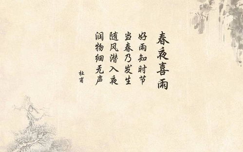 關(guān)于不懂我的詩(shī)句
