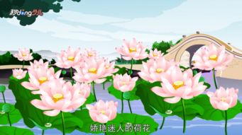 描寫西湖荷花的小學古詩句