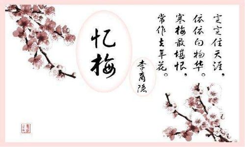 寫一首關(guān)于梅花的詩句