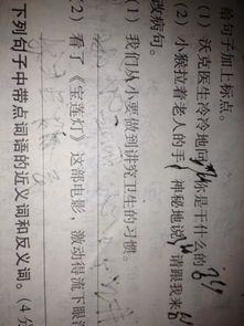 關(guān)于桃的詩句古詩大全