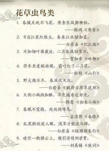 詩句,小學(xué)