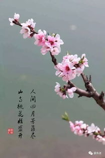 的花,古詩,詩句