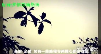 關(guān)于兄弟要別離的詩句