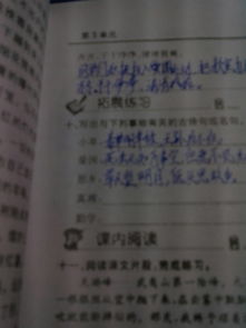 追求真理的古詩句