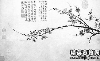 夸梅花的古詩句