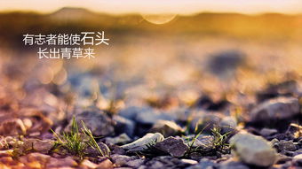 奔波在路上的勵(lì)志古詩(shī)句