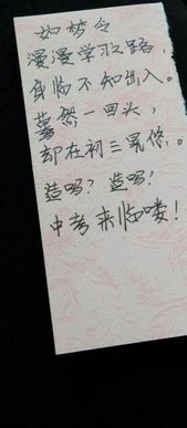 關于報復的自編詩句