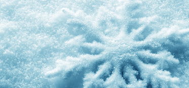 關(guān)于雪花在北風(fēng)中的詩句