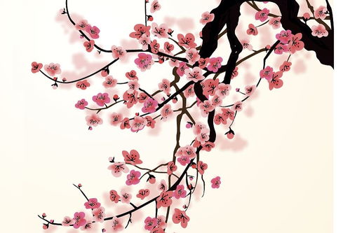 有關于梅花的詩句大全