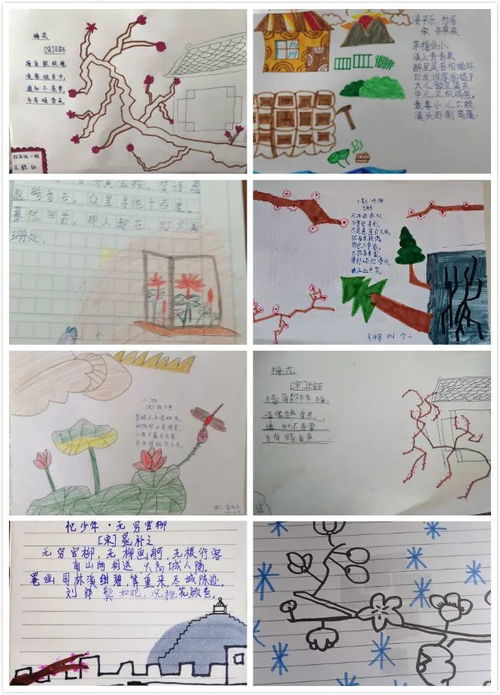 古詩,詩句,學(xué)過,描寫