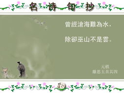 關于愛情的詩句唯美,關于愛情的詩句現(xiàn)代詩,關于愛情遺憾的詩句