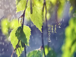 關(guān)于立春和雨水的詩句