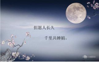 中秋關(guān)于月亮的詩句古詩詞