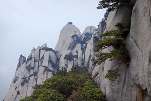 詩句,登山